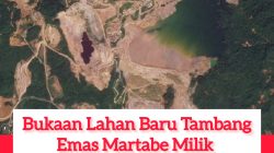 ‎Syahrul Desak Pencabutan Izin PT Agincourt Resources atas Banjir dan Longsor di Tapanuli Selatan