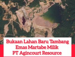 ‎Syahrul Desak Pencabutan Izin PT Agincourt Resources atas Banjir dan Longsor di Tapanuli Selatan