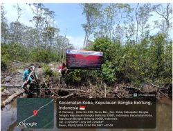 Pembalakan Liar Kawasan Hutan Lindung Terjadi di Bangka Belitung